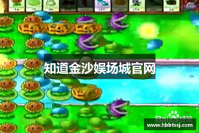 知道金沙娱场城官网